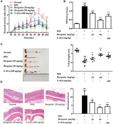 Bergenin, Acting as an Agonist of PPARγ, Ameliorates Experimental Colitis in Mice through Improving Expression of SIRT1, and Therefore Inhibiting NF-κB-Mediated Macrophage Activation